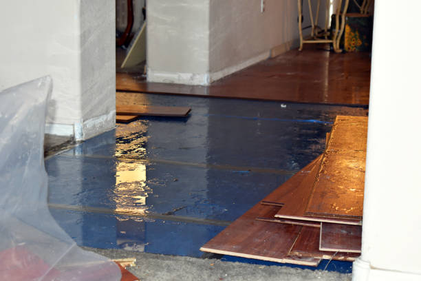 Professional Emergency Water Damage Restoration technician working in Corona Del Mar, CA